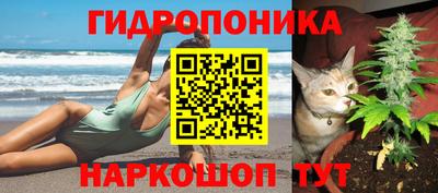spice Краснознаменск