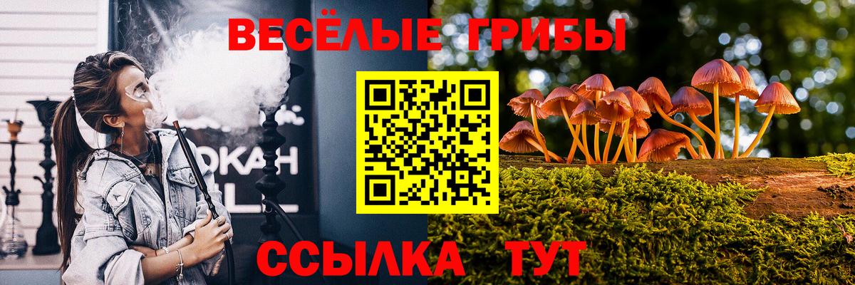 Галлюциногенные грибы Magic Shrooms  Псилоцибиновые грибы мицелий  Вход с VPN  Заводоуковск 