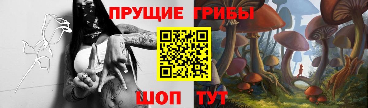 Псилоцибиновые грибы ЛСД Заводоуковск